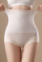 curvypower-au Shapewear Nude / L Large Waistband Shaper Brief Pants