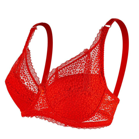 Curvypower | Australia Bras Plus Size Underwire Push Up Lace Support Bra