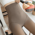 curvypower-au tights Coffee / Full Foot / Extra Thick Women Fleece Lined Waist Shaper Thermal Translucent Tights