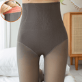 curvypower-au tights Grey / Full Foot / Extra Thick Women Fleece Lined Waist Shaper Thermal Translucent Tights